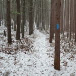 Snowy Trail