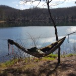 Do You Prioritize Happy